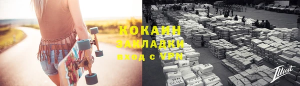 дживик Богданович