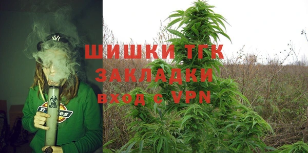 2c-b Богородицк