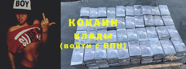 дживик Богданович
