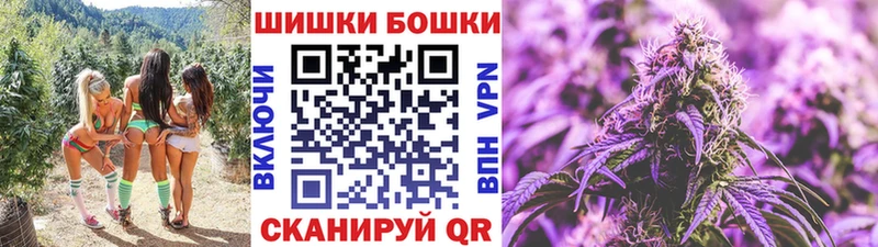 Бошки Шишки план  Купить где  Усть-Джегута 
